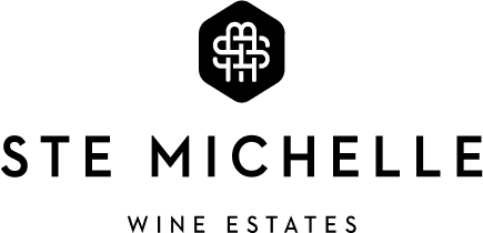 STWE Logo
