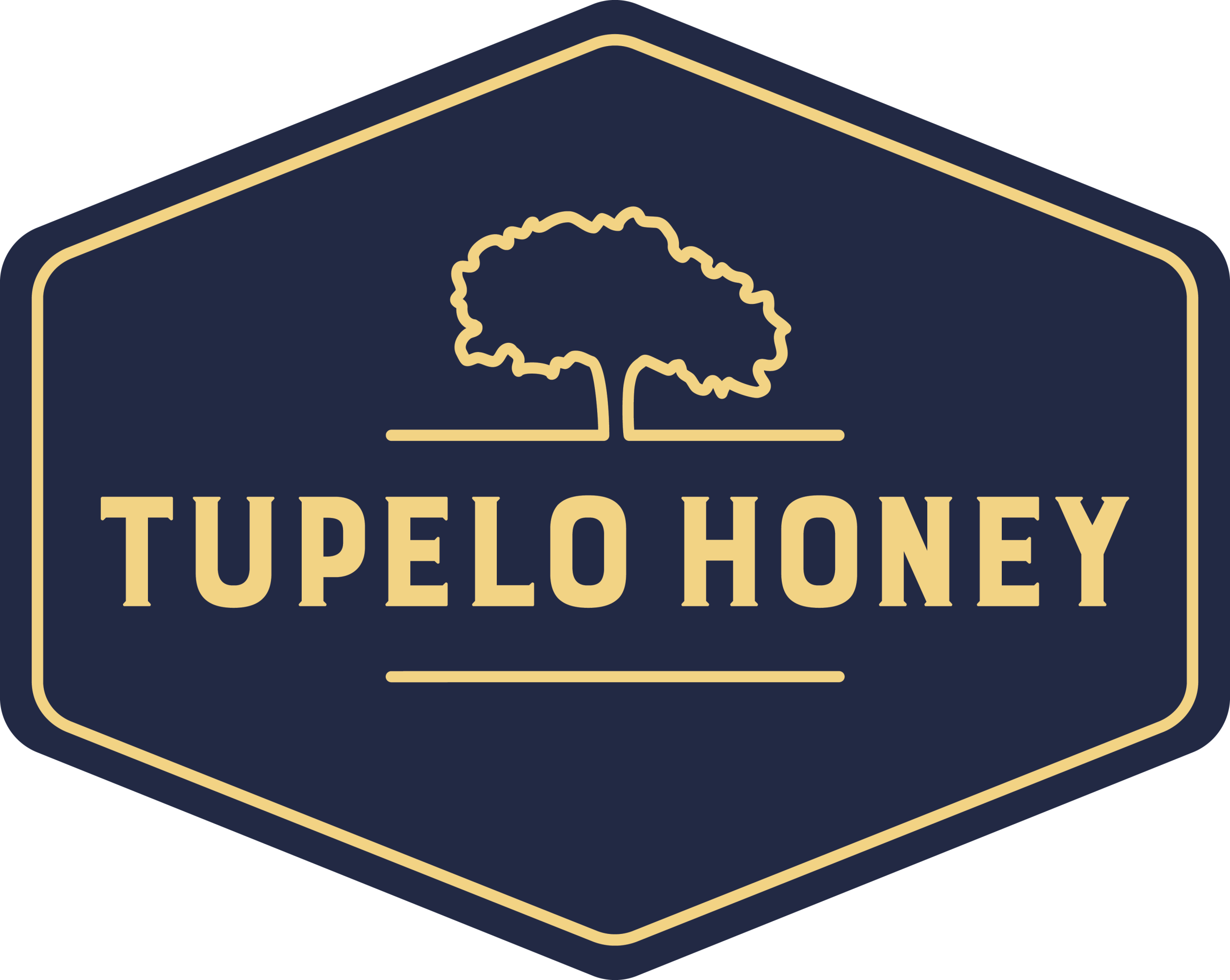 H DarkBlue Hex LARGE