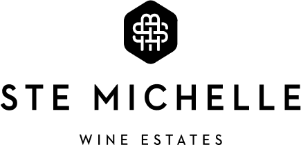 STWE Logo